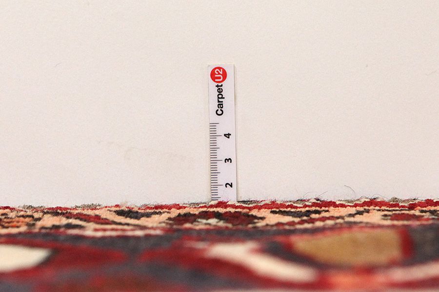 Bakhtiari Persian Carpet 308x207 - Picture 7