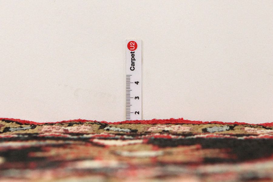 Lilian - Sarouk Persian Carpet 312x224 - Picture 7