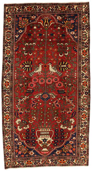 Carpet Jozan Sarouk 310x164